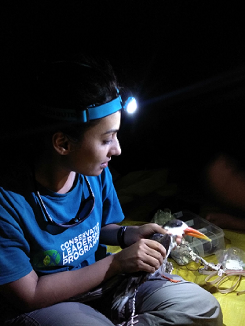 चंबलची “मॅडम सर” परवीन शेख  -किशोर रिठे