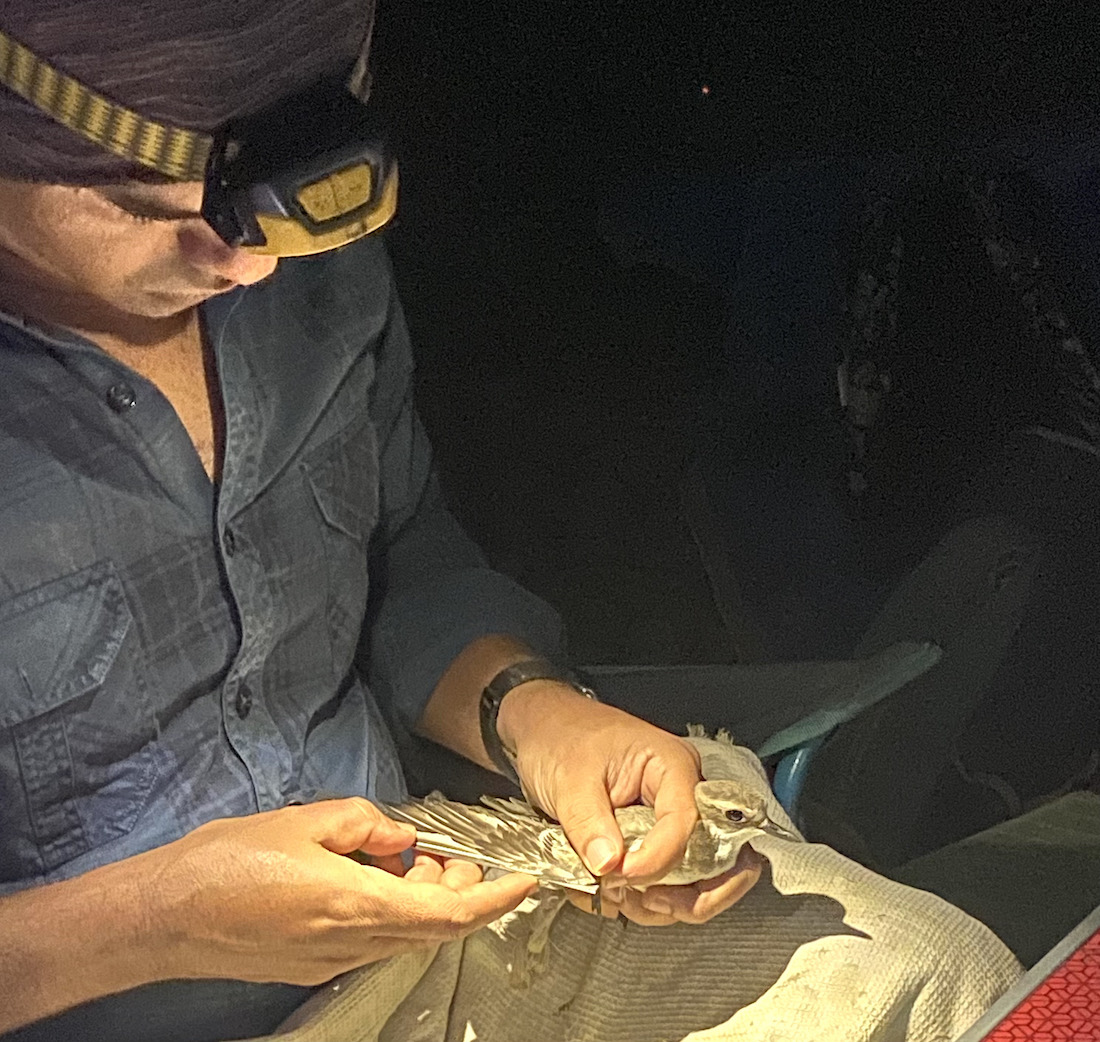 Ringing The Feathered Guests Of Mumbai In One Of The City’s Last Remaining Wetlands