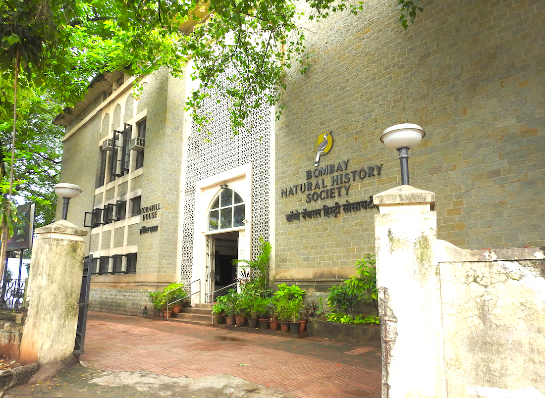 निसर्ग इतिहासाचा ठेवा जोपासणारी बी. एन. एच. एस.